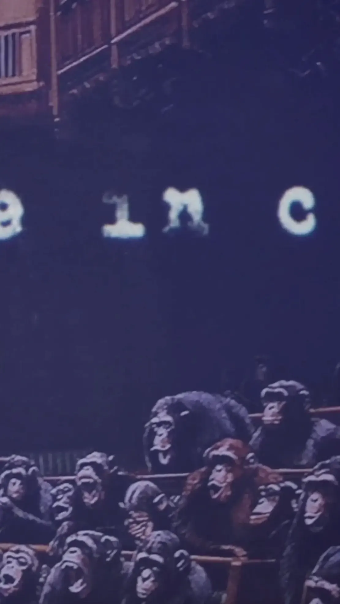 Art of Banksy Exhibition in Vancouver